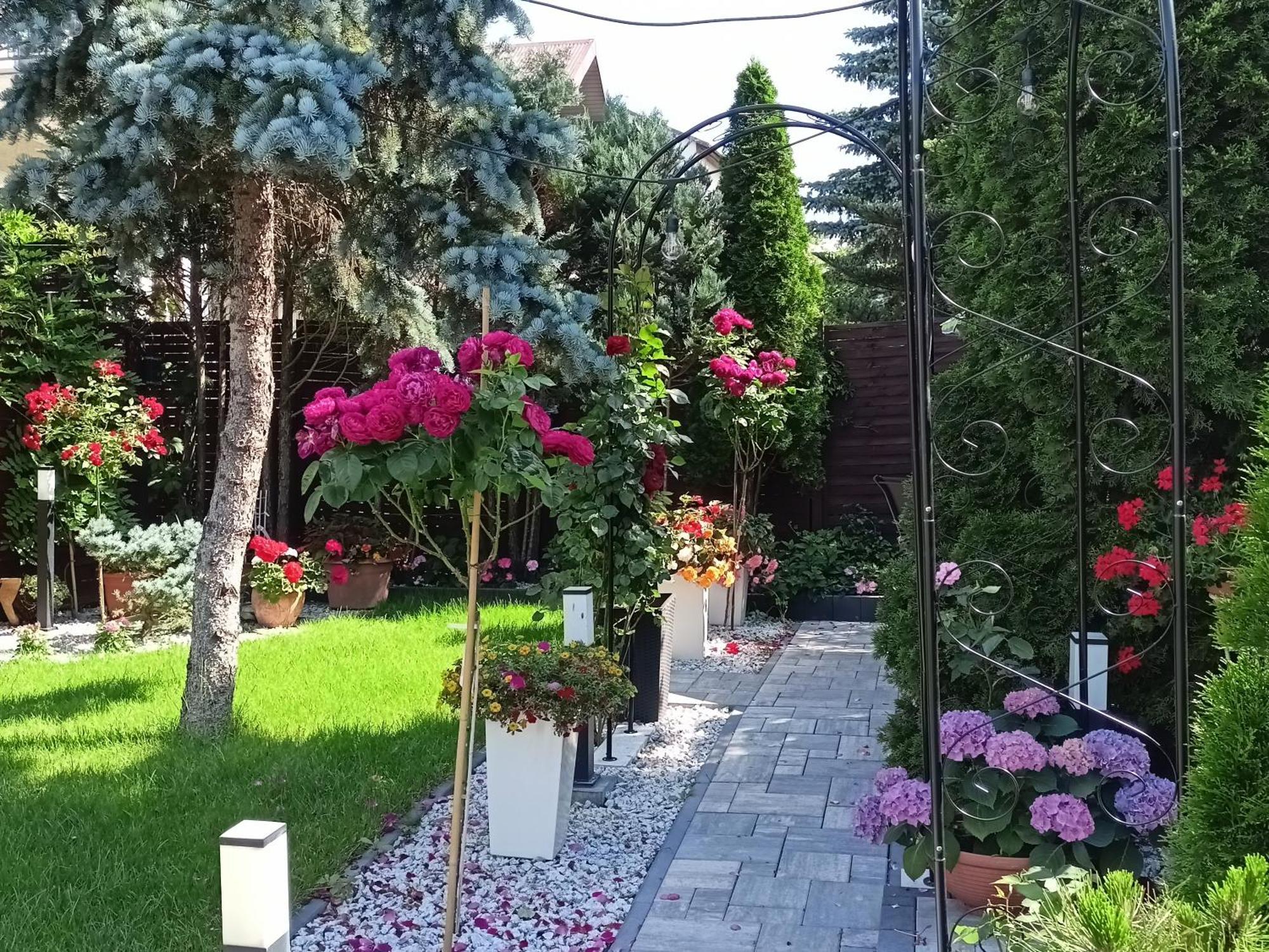 Pokoje Hotelowe Nad Zalewem Siedlce Kültér fotó